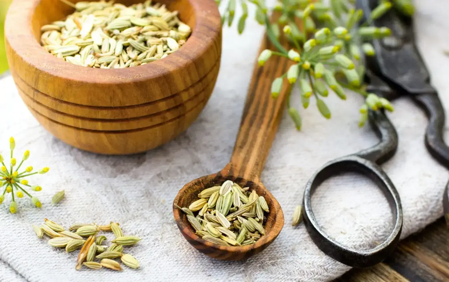 fennel-seeds